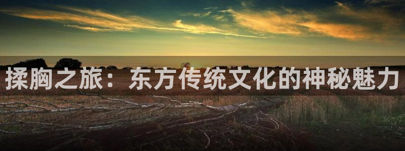韩漫漫画大全在线阅读：揉胸之旅：东方传统文化的神秘魅力配图