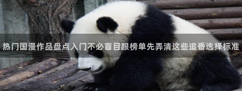 在线韩漫大全:热门国漫作品盘点入门不必盲目跟榜单先弄清这些追番选择标准配图