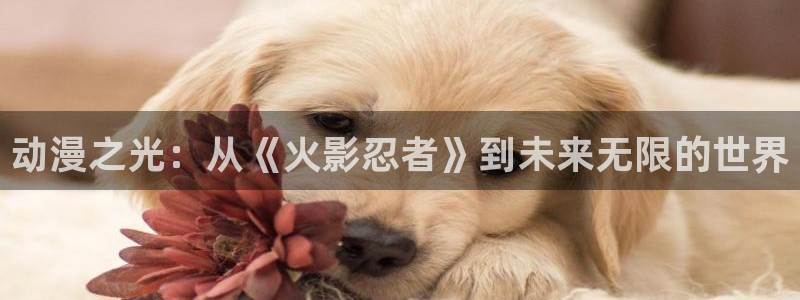 在线韩漫网站：动漫之光：从《火影忍者》到未来无限的世界配图