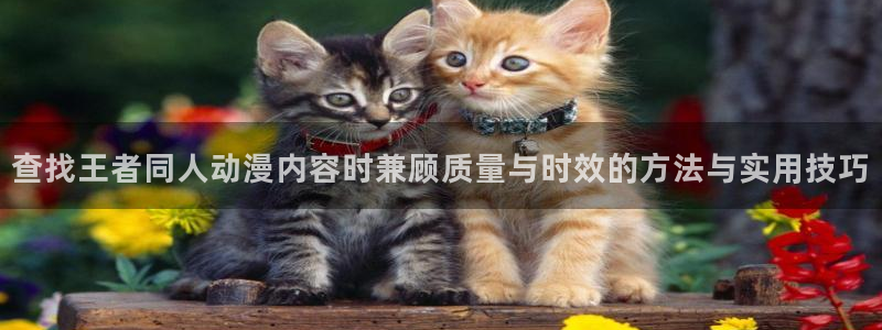 韩漫漫画高清:查找王者同人动漫内容时兼顾质量与时效的方法与实用技巧配图