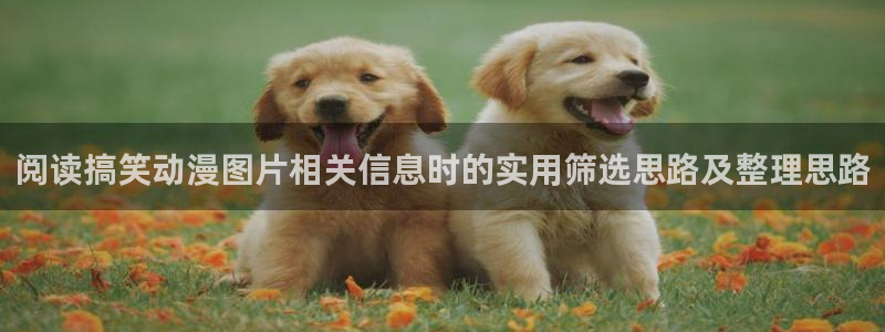 韩漫漫画中文版阅读:阅读搞笑动漫图片相关信息时的实用筛选思路及整理思路配图