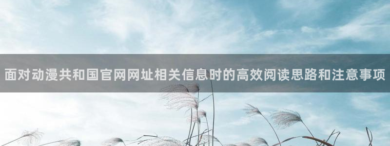 韩漫漫画免费网站:面对动漫共和国官网网址相关信息时的高效阅读思路和注意事项配图