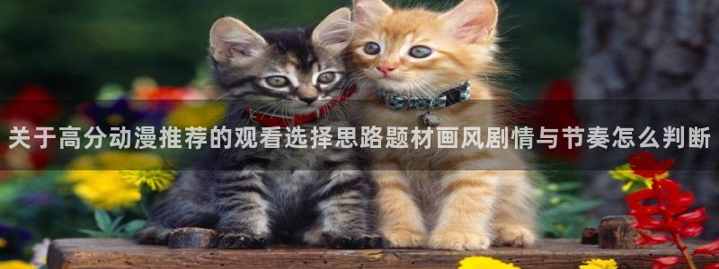 韩漫中文漫画网站:关于高分动漫推荐的观看选择思路题材画风剧情与节奏怎么判断配图